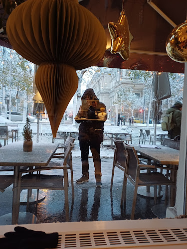 Universitätsring 8, 1010 Wien