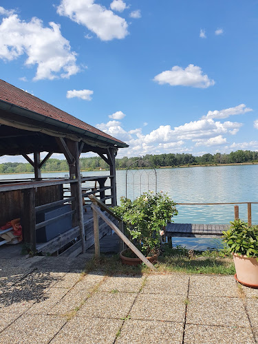 Wasserskischule Riess & Partner OEG - Gastronomie und Hotellerie