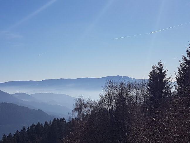 Soboth 162, 8554 Soboth