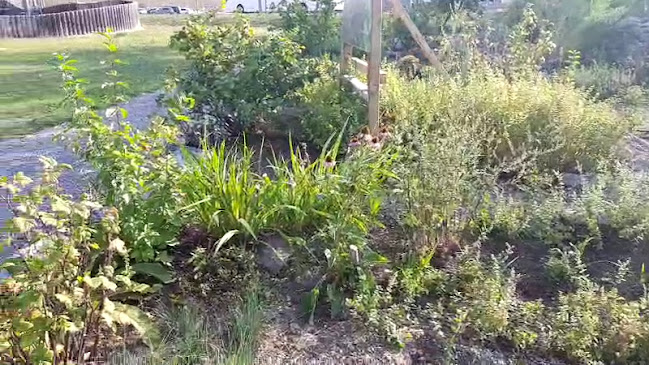 Marché Schwechat - Schwechat