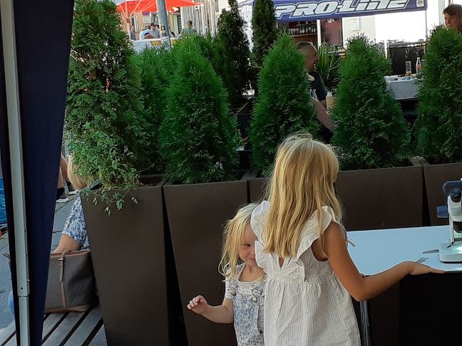 Comentarii opinii despre Ristorante Roma