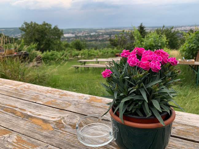 Eichelhofweg Parz, 1190 Wien