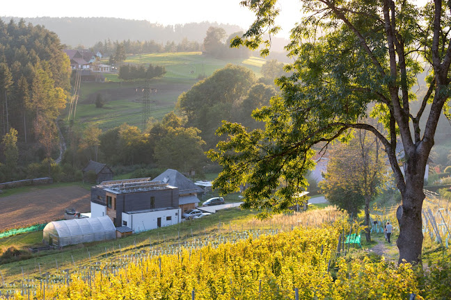 Comentarii opinii despre Sternberg Weingut Egger