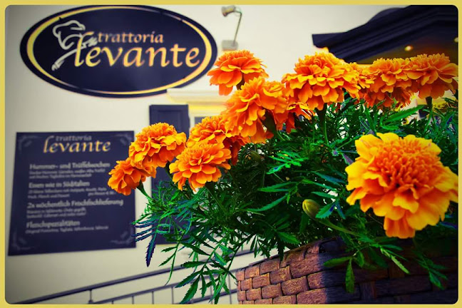 TRATTORIA LEVANTE - Gastronomie und Hotellerie
