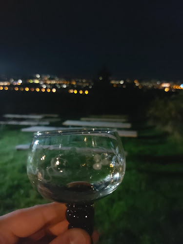 Comentarii opinii despre Sonnenheim, Historic Wien bar