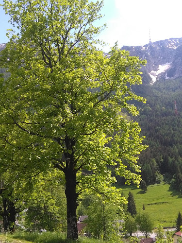 Thermenweg 1, 9530 Bad Bleiberg