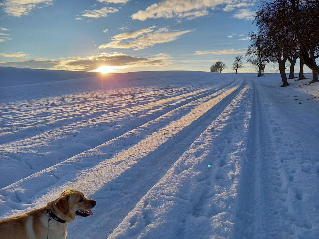 Schnatterhof-Ganslstubm-Familie Doblhamer - Neundling