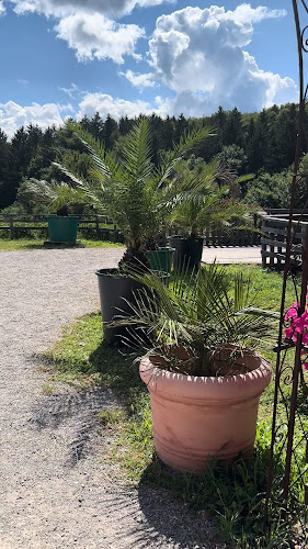 Gasthaus Steinerhof - Gastronomie und Hotellerie