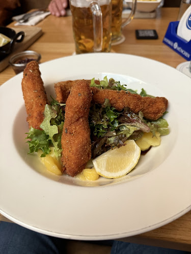 Hofbräu am Steinertor - Gastronomie und Hotellerie
