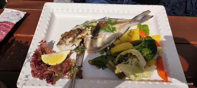 Comentarii opinii despre Ristorante Dolce Vita