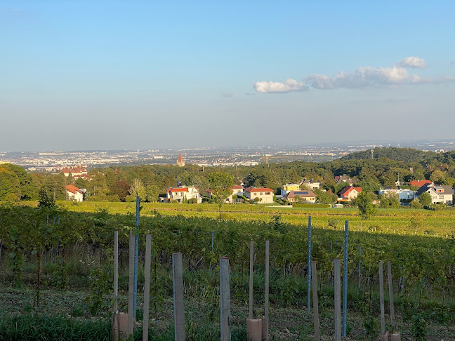 Mohrenberger Alm - Gastronomie und Hotellerie