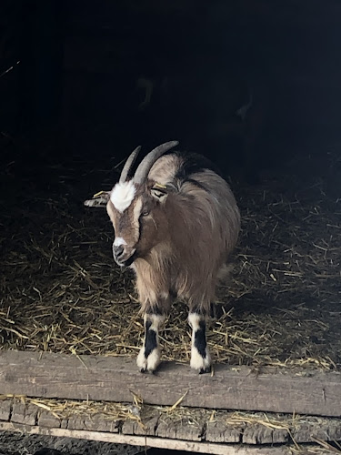 Jagaalm - Gastronomie und Hotellerie