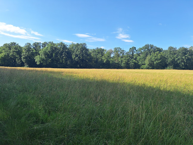 Comentarii opinii despre Rasthaus Rohrhaus