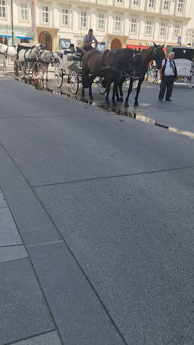 Vinothek St. Stephan / KVMG Weinhandel GmbH