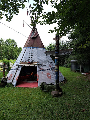 Comentarii opinii despre TRAUN-RIVER