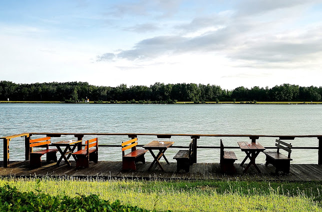 Comentarii opinii despre Wasserskischule Riess & Partner OEG