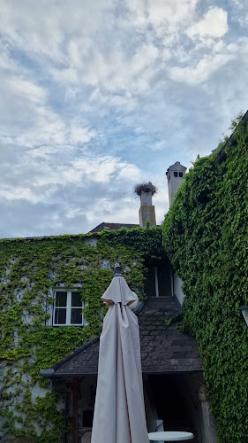 Opinii despre Schiffsmeisterhaus Hotel Restaurant în Ardagger Markt - Gastronomie und Hotellerie