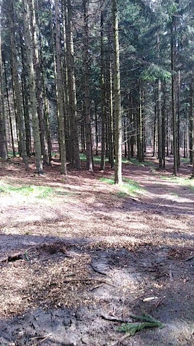 Auf der Gis 1, 4040 Lichtenberg