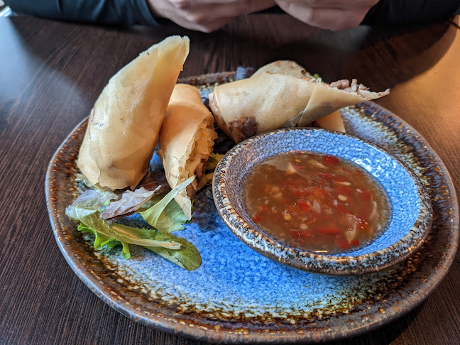 Comentarii opinii despre Yido