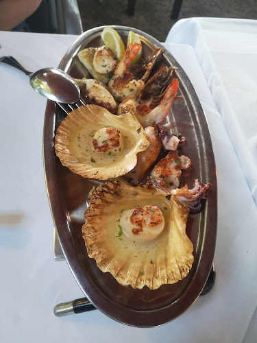 Comentarii opinii despre Toro Toro