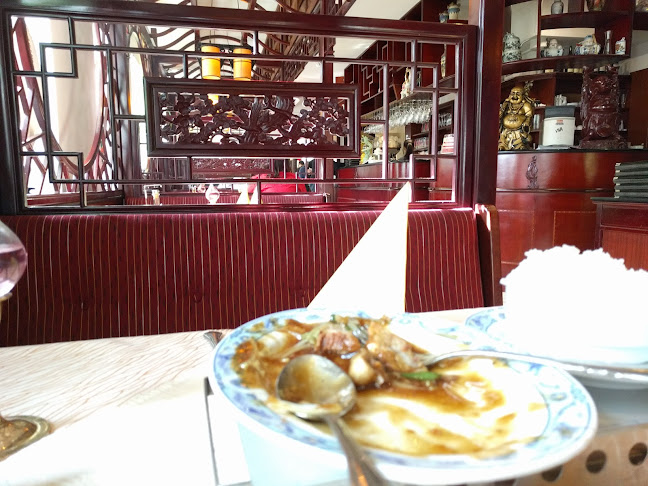 Comentarii opinii despre 5 Sterne China-Restaurant