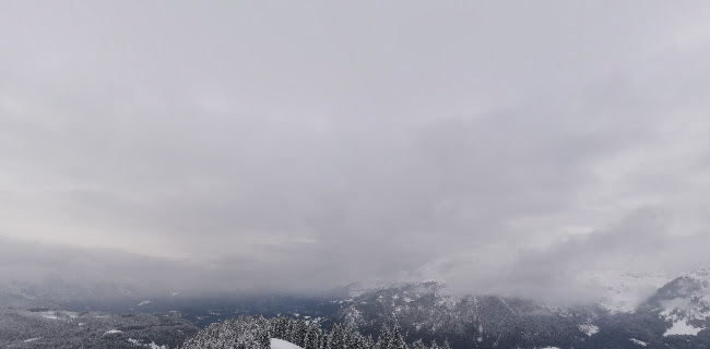 Gosauseestraße 793, 4824 Gosau