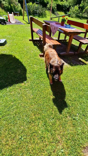 Restaurant-Cafe Himmelwandhütte - Bad Gastein