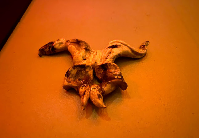 Opinii despre Im Werd 1 în Wien - Gastronomie und Hotellerie