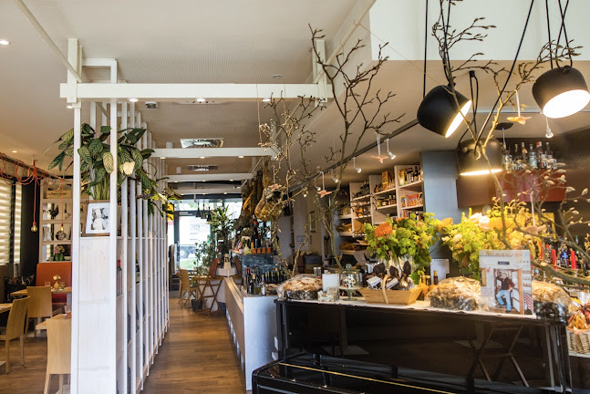 ROSSO di Acqua e Sole GmbH - Linz