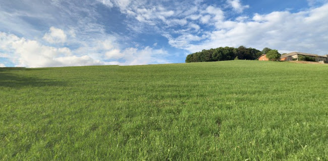 Opinii despre Holzpoldl Brot în Lichtenberg - Gastronomie und Hotellerie
