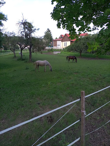 Bäckerei Tengg GmbH - Gastronomie und Hotellerie