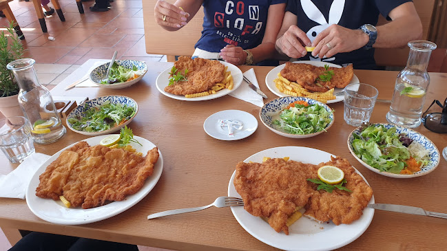 Mochoritsch Griffen-Rast