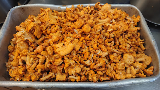 Gasthof Lendl - Mürzzuschlag