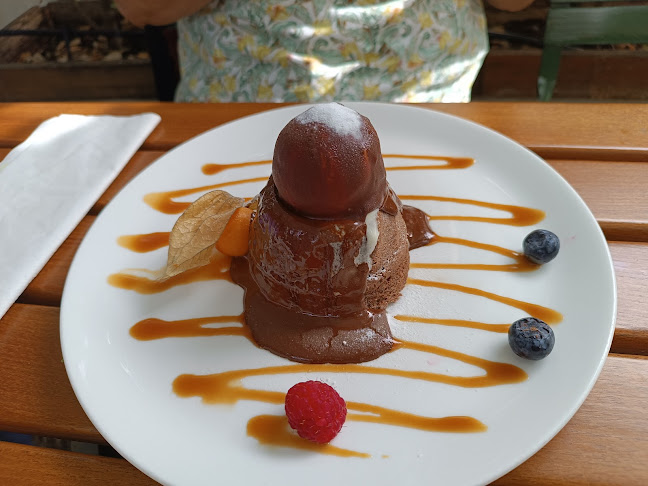 Comentarii opinii despre Figls