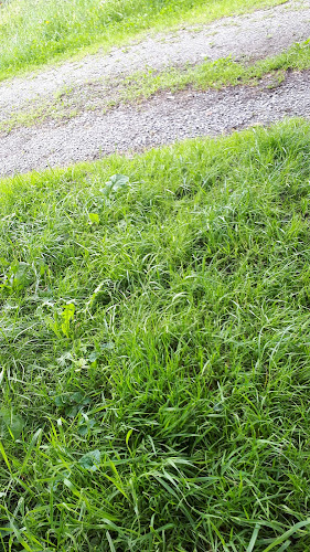 Comentarii opinii despre Gasthaus Breitenhuber