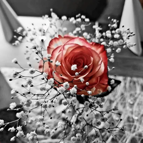 Comentarii opinii despre Dolomiten-Waldschenke Amlach