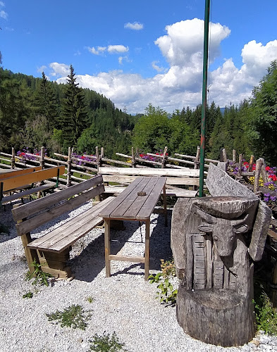 Comentarii opinii despre Jagaalm