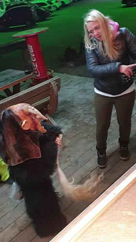 Thorerstraße 1c, 5760 Saalfelden am Steinernen Meer