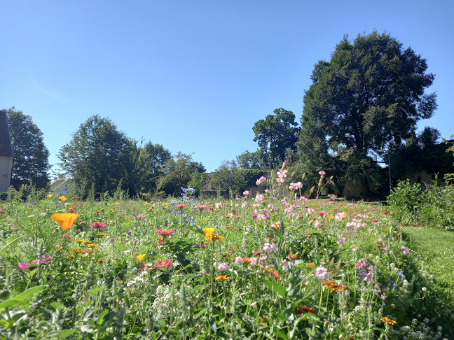 Comentarii opinii despre LaGom