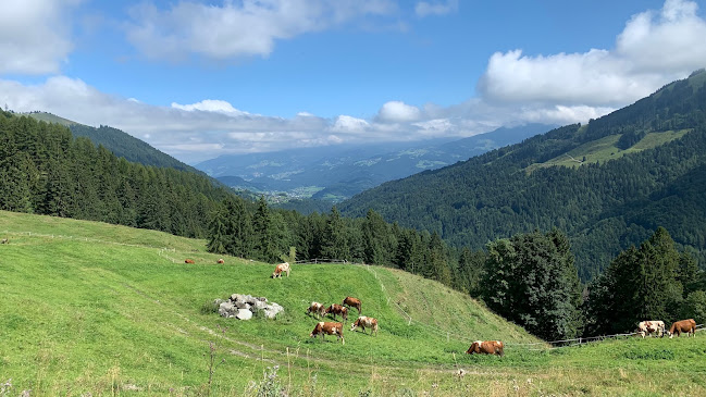 Alpe Gaudenza - Frastanz