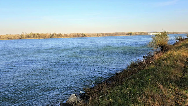 Wasserskischule Riess & Partner OEG