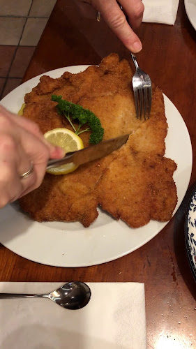 Mochoritsch Griffen-Rast