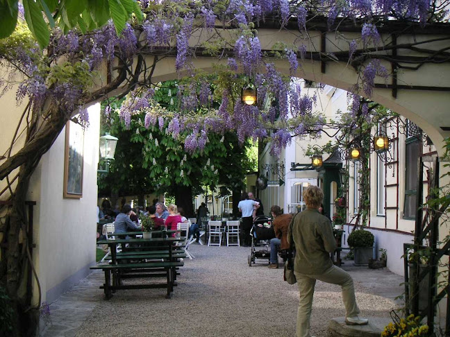 Comentarii opinii despre Heuriger Maly