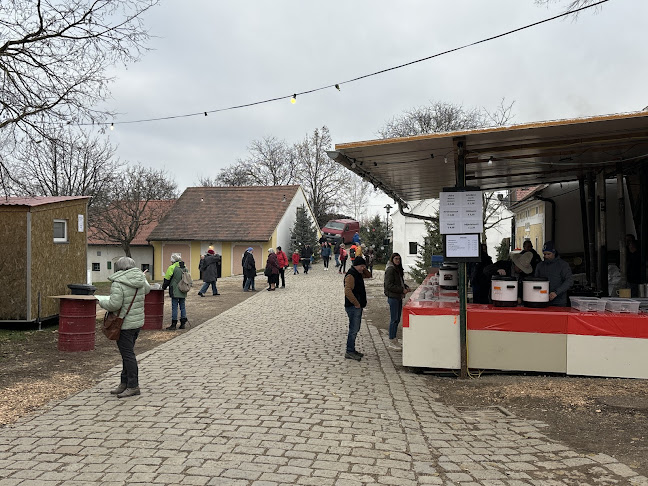 Loamgrui bei Unterstinkenbrunn - Unterstinkenbrunn