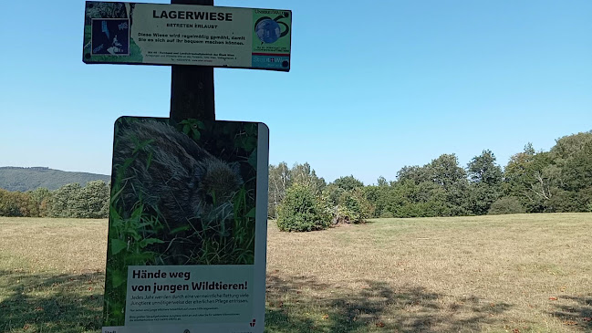 Opinii despre Rasthaus Rohrhaus în Wien - Gastronomie und Hotellerie