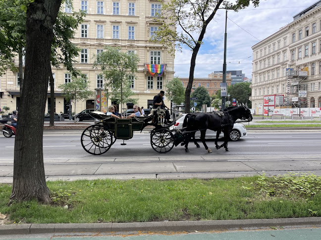 Comentarii opinii despre Champagne Garden &more