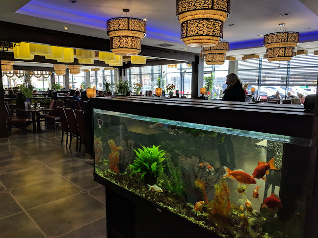 Comentarii opinii despre Asia-Restaurant WOK Kaiser