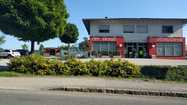 Comentarii opinii despre Pesendorfer GmbH