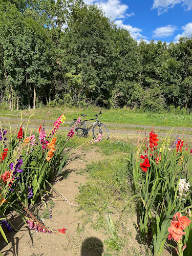 Opinii despre Blumen selber pflücken în Fohnsdorf - Gastronomie und Hotellerie
