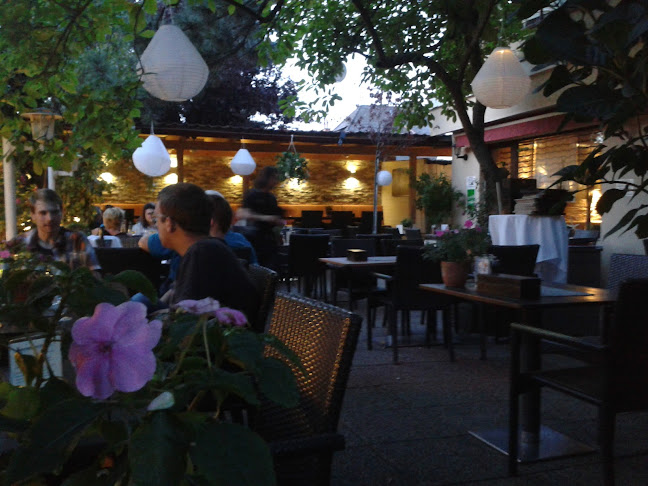 Opinii despre Alfredo Ristorante Trattoria Wien în Wien - Gastronomie und Hotellerie